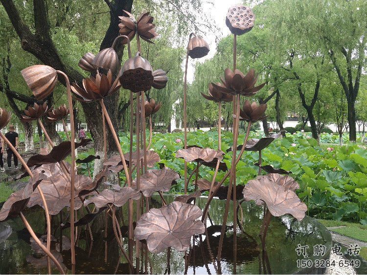 荷花雕塑供應(yīng)，城區(qū)小品，戶外銅荷花雕塑制造商