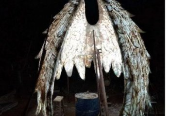鳥翅雕塑供需，廣場雕塑，不銹鋼鳥翅雕塑定制